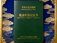 机动车登记证书真伪鉴别全攻略：五步教你快速识破造假陷阱