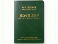 机动车登记证办理全攻略：材料、流程与注意事项.